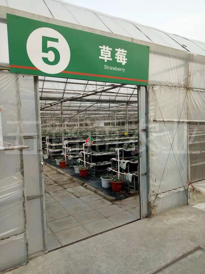 温室大棚